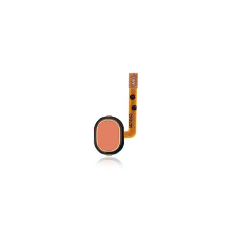 Replacement fingerprint scanner for Samsung Galaxy A20 A205, OEM grade, London Repair Outlet