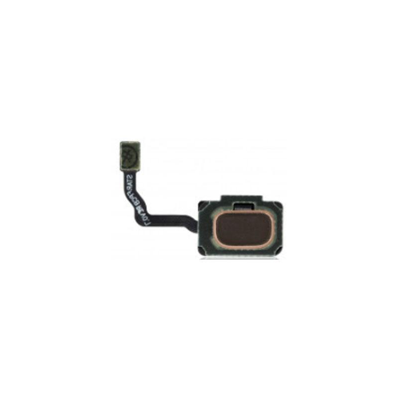 Replacement fingerprint scanner for Samsung Galaxy S9 Plus G965F, OEM grade, London Repair Outlet